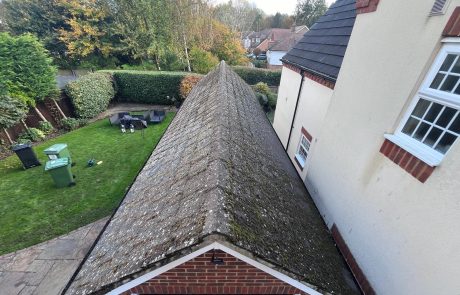 Mossy garage roof before cleaning Mossy garage roof before cleaning